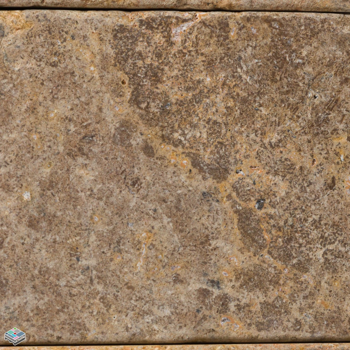 Travertine Shell Paver 6X6X3/4 Tile & Marble Liquidators