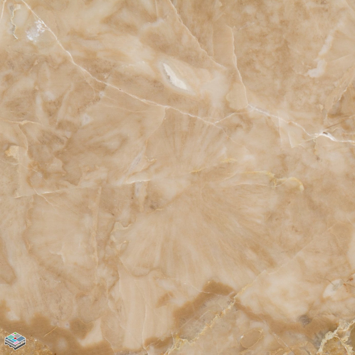 Breccia Oniciata Tile 18X18X5/8 Tile & Marble Liquidators